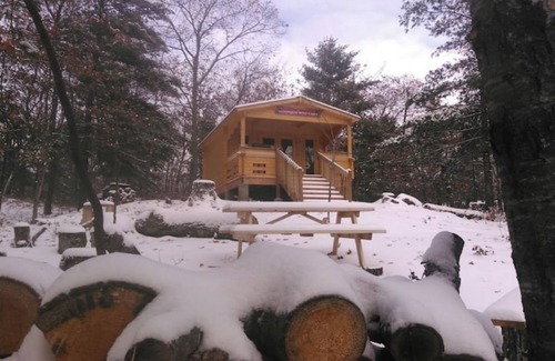 Golden Lake Cabin | Very Private, Secluded, Wildlife, No Neighbors!