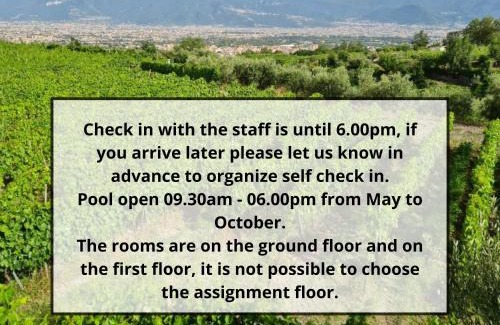 Mount Vesuvius - Pompei House | Vesuvio Inn Bed & Wine Experience