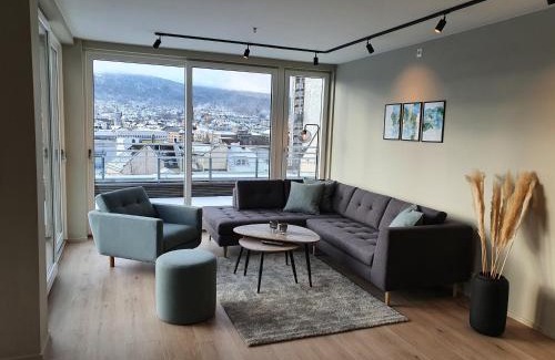 Sentrum House | Veversmauet Apartments