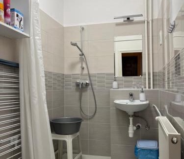 Tiszaujvaros Apartment | Vica Apartman