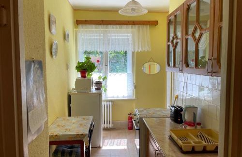 Tiszaujvaros Apartment | Vica Apartman