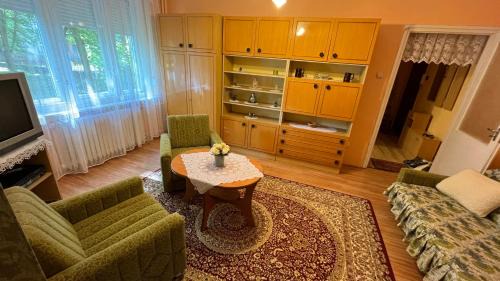 Tiszaujvaros Apartment | Vica Apartman