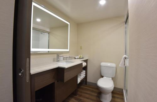 Winnipeg Hotel | Victoria Inn Hotel and Convention Center Winnipeg
