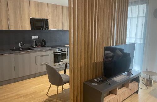 Zizkov Apartment | Victoria Prague city centre