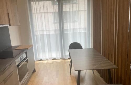 Zizkov Apartment | Victoria Prague city centre