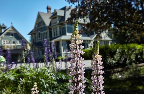 Wolfville Hotel | Victoria's Historic Inn