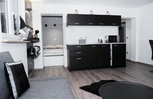 Bezigrad District Apartment | Victoria's Place Apartment