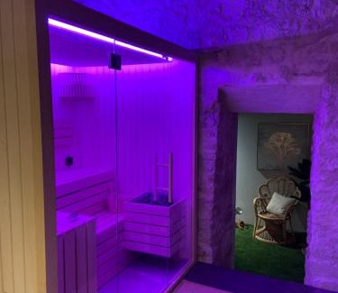 Centre Ville Villa | Vieille rose