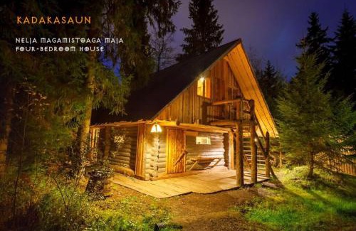 Saula House | Viikingite küla