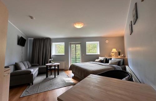 Uulu Apartment | Viisnurga Puhkemajad