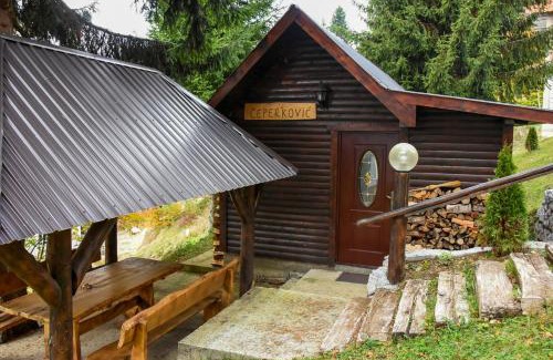 Kopaonik Ski Chalet | Vikendica Čeperković #2