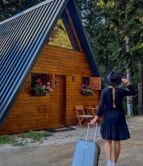 Kopaonik Ski Chalet | Viktorija chalet