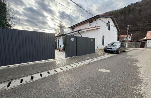 Valiug House | Vila Amadark