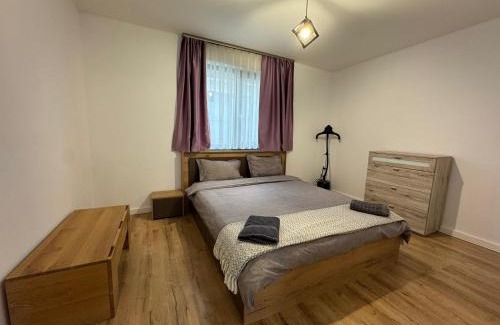 Oradea Villa | Vila Andrea