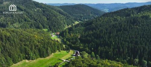 Halenkov Apartment | Vila Anna Wellness