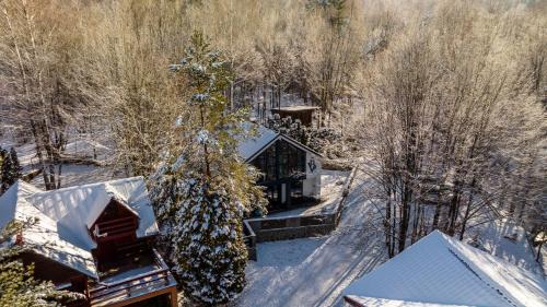Valiug Villa | Vila Blanc Valiug Crivaia