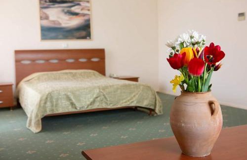 Transnistria House | VILA DORULUI