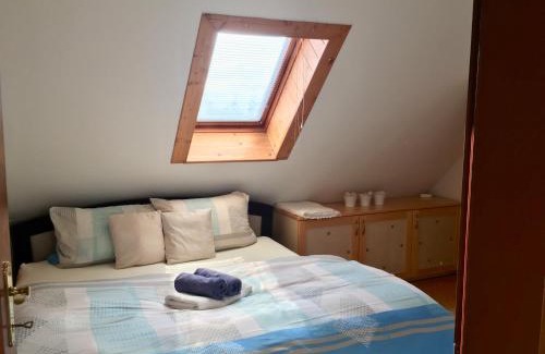 Trebon Apartment | Vila EVIO Třeboň