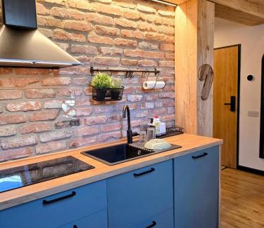Sinaia Apartment | Vila Ferdinand Apartments