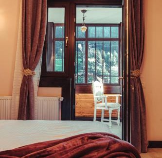 Campulung Moldovenesc Bed & Breakfast | Vila Genia