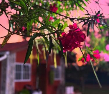 Caucaia House | Vila icarai
