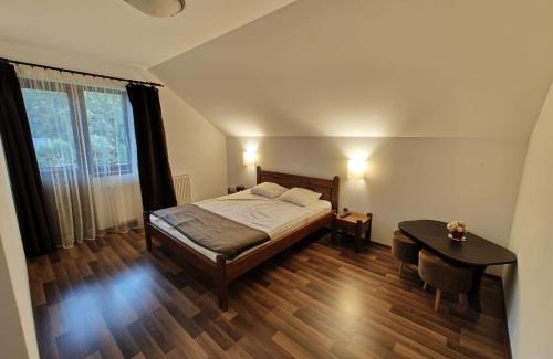Poiana Stampei House | Vila Irina