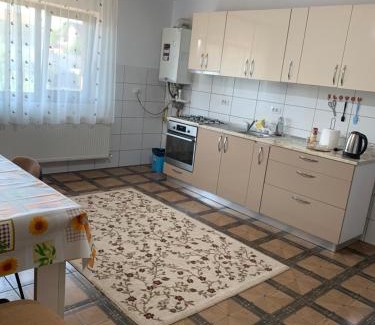 Vaslui Apartment | Vila Lory