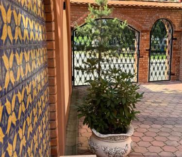 Sangeorz-Bai House | Vila Luminita