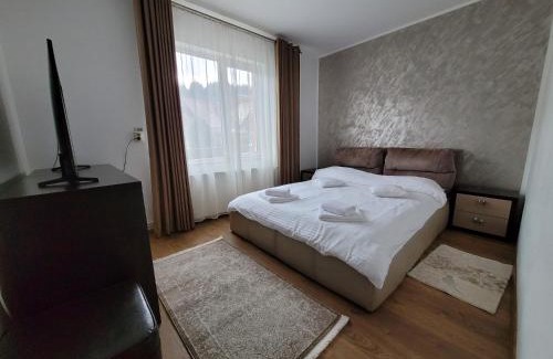 Moisei Villa | Vila Mery