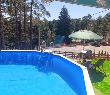 Kremna Apartment | Vila Mirjana Tara