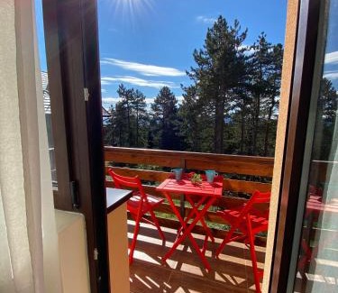 Kremna Apartment | Vila Mirjana Tara