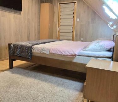 Donja Brezna Apartment | Vila Montenegro Piva consists of two units Lux apartment and Central part of the house