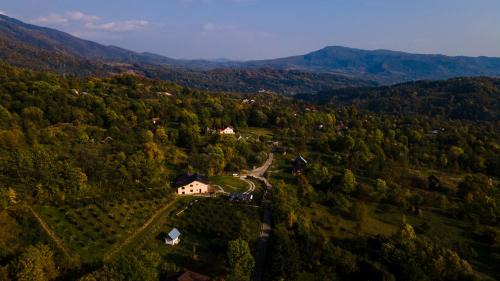 Oestii Paminteni Villa | Vila N&D
