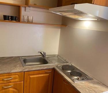 Olomouc Apartment | Vila Olomouc