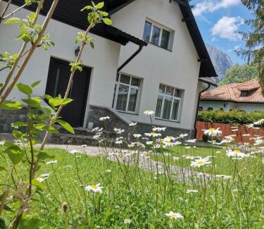 Busteni Villa | Vila Panduri 23