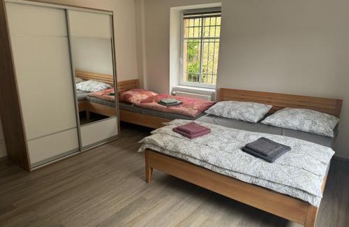 Tanvald Villa | Vila Tanvald s wellness a wallboxem