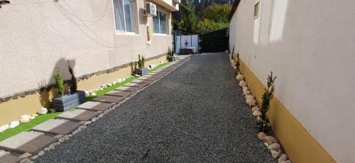 Vladeni Villa | Vila Zeus