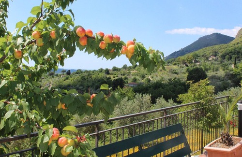 Spigno Saturnia Apartment | Villa Chiaia B apartment with swimming pool