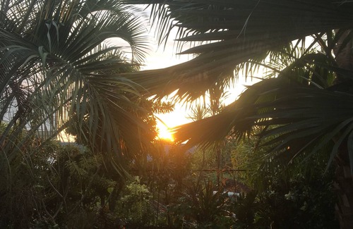 Paea Villa | VILLA 5 MINUTES FROM THE BEACH - ROOM HINE