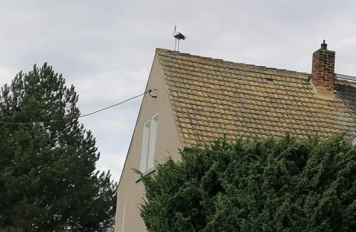 Treben House | Villa Affenhaus