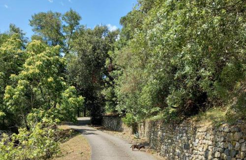 Ca Miro Apartment | Villa ai Sugheri