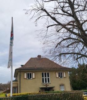 Stassfurt House | Villa am Park