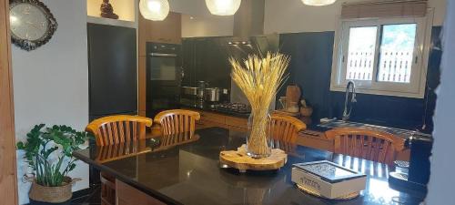 Cilaos Villa | Villa Ananda