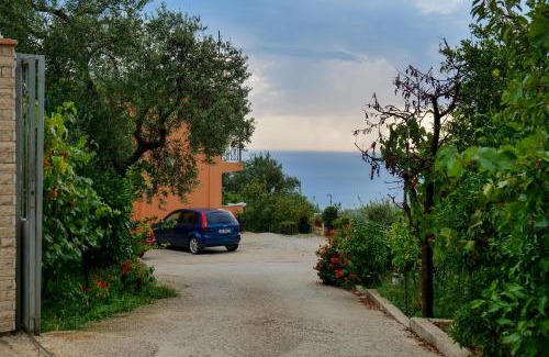 Borsh Apartment | Villa Ani