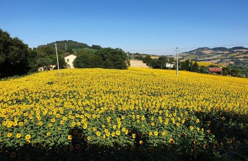 Osimo Villa | Villa Anna Monolocale con ingresso indipendente