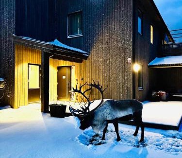 Tromso Villa | Villa Artic