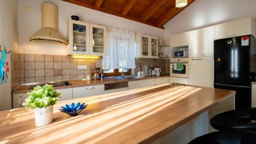 Gradisce Villa | Villa Arton heated swimming-pool