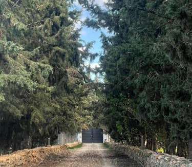 Sidi Thabet Villa | Villa Aura