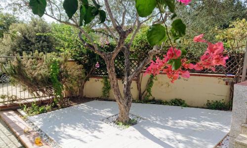 Iscra e Voes House | Villa Babai