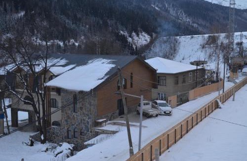 Bagvdanari House | Villa Babuda